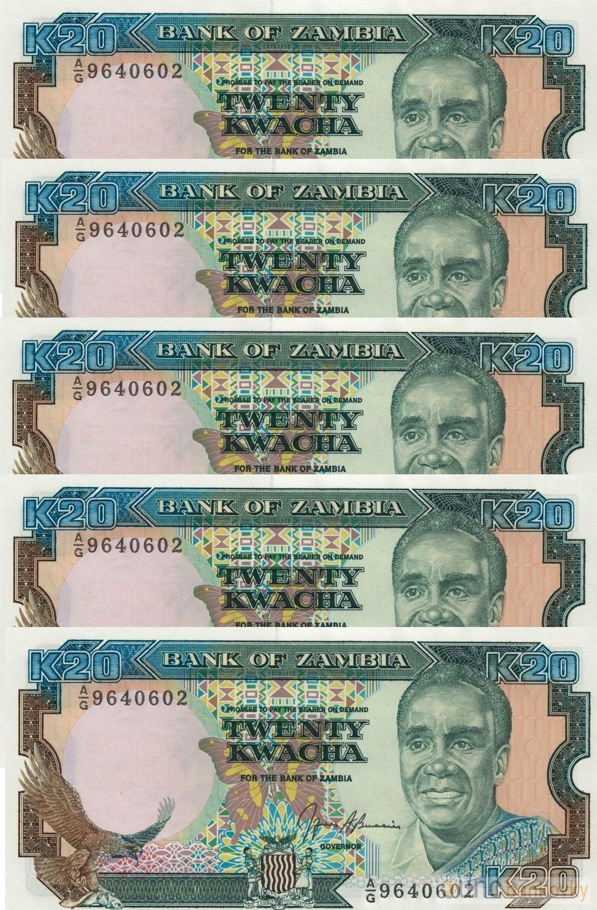 5x Zambie dealer set UNC